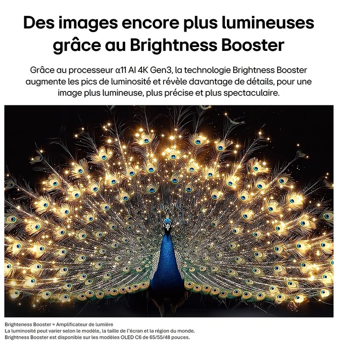 LG OLED evo AI C6 avec Brightness Booster montre une scène sombre où un paon lumineux déploie ses plumes éclatantes et rayonnantes, offrant des lumières plus brillantes avec des détails améliorés et un contraste saisissant.
